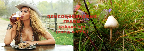 прущий лед Алзамай