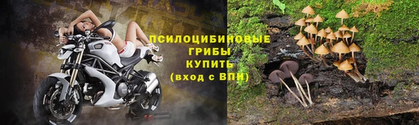 СК Алексин