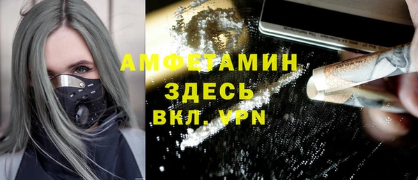СК Алексин