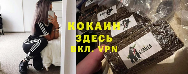 СК Алексин